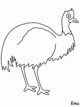Emu Coloring Pages Birds sketch template
