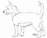 Wild Coloring Pages Dog Dogs Getcolorings Printable sketch template