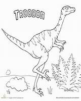 Dinosaur Coloring Troodon sketch template