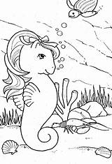 Pony Little Pages Coloring Sea sketch template