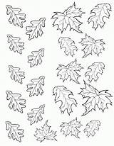 Leaves Leaf Coloring Fall Pages Autumn Template Printable Templates Cake Drawing Color Birdonacake Stencil Colouring Print Chocolate Small Stencils Bird sketch template