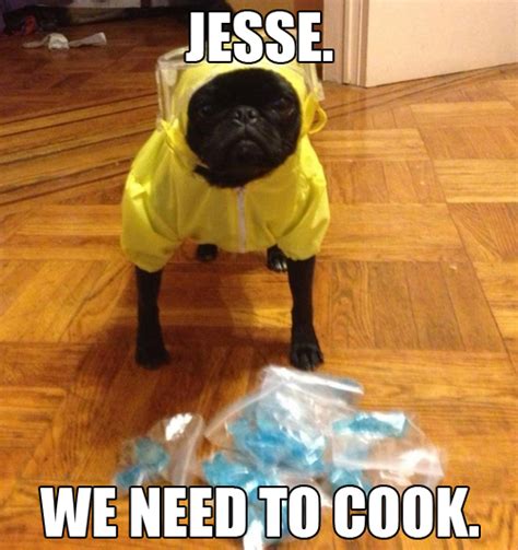 40 Best Breaking Bad Memes On The Internet Funny Walter
