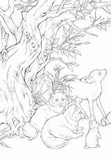 Coloring Fairy Korean Book Tales Vol Instant Price sketch template
