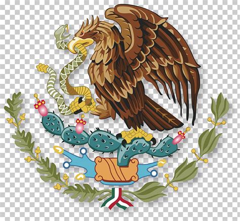 Serpiente águila Ilustración Bandera De México Estados