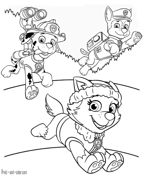 coloring pages  kids boys paw patrol images colorist