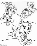 Paw Patrol Coloring Pages Color Print Might Also sketch template