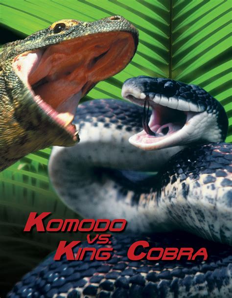komodo  cobra     stream tv guide