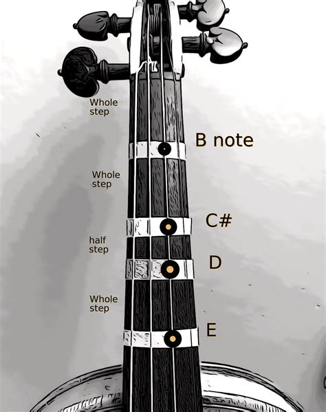 violin fingering notes  finger placement   string