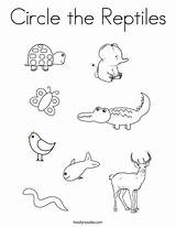 Reptiles Coloring Circle Worksheets Preschool Pages Printable Activities Noodle Amphibians Choose Board Twistynoodle Learning Print sketch template