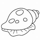 Colouring Shells Shell Sea Fish Pages Clipart Coloring Drawing Cliparts Clipartbest Urchin Clipartmag Computer Designs Use sketch template