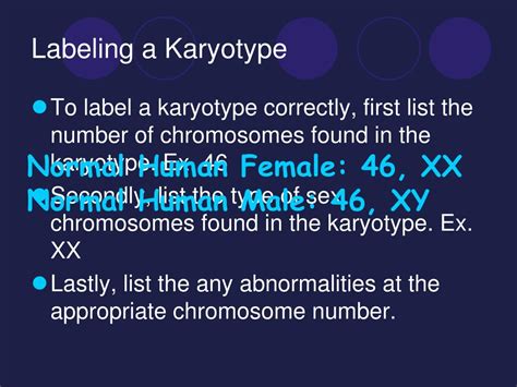 ppt pedigrees and karyotypes powerpoint presentation id 559530
