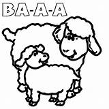 Sheep Lambs sketch template
