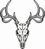 Deer Skull Vector Clip Illustrations Similar sketch template