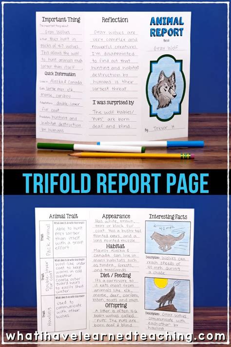 animal report   animal informational writing  grade