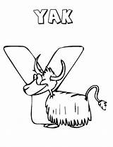 Yak Bulkcolor Mammals Bigstock sketch template