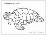 Turtle Loggerhead Firstpalette sketch template