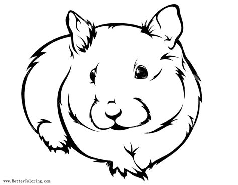 hamster coloring pages realistic drawing  printable coloring pages