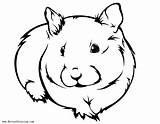 Hamster Coloring Pages Drawing Realistic Printable Easy Dwarf Cute Gerbil Clipart Kids Hamsters Drawings Adults Baby Clipartmag Color Print Paintingvalley sketch template