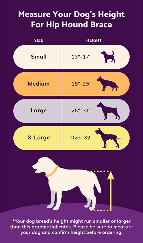 measure  dogs length