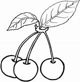 Cherry Coloring Pages Cherries sketch template