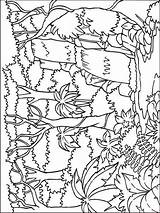Coloring Forest Pages Jungle Printable Nature Mycoloring sketch template