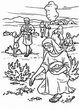 Coloring Manna Bible Pages Quail Para Sheet Exodus Moses Kids Del Colorear Israel Pueblo Cloud Israelites Dibujo Printable Niños Sheets sketch template