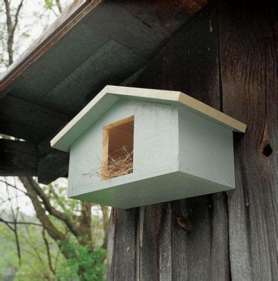 wood mourning dove bird house plans bird house plans dove house bird house