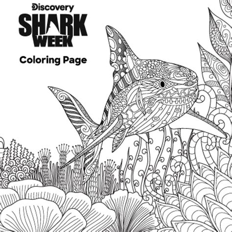 shark week coloring page  latest shark week  news  discovery