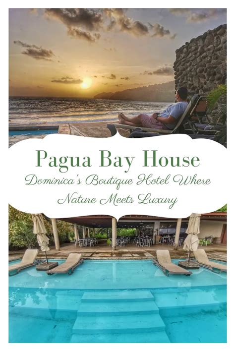 pagua bay house dominica s boutique hotel where nature meets luxury