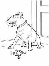Dog Pages Coloring Colouring sketch template