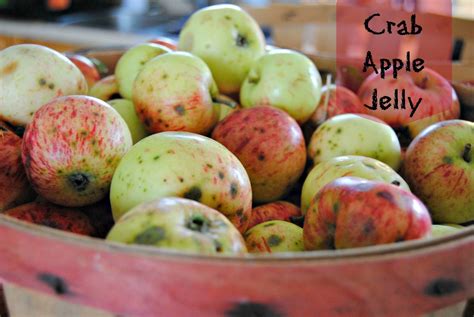 kates kitchen apple jelly