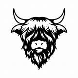 Highland Cows Hochlandrind Logos Dxf Kuh Kopf Angus Grafiken Bauernhof Weißem Kühe sketch template