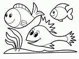 Coloring Pages Animal Children Kids Popular sketch template