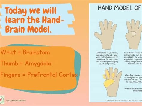 the hand brain model teaching resources