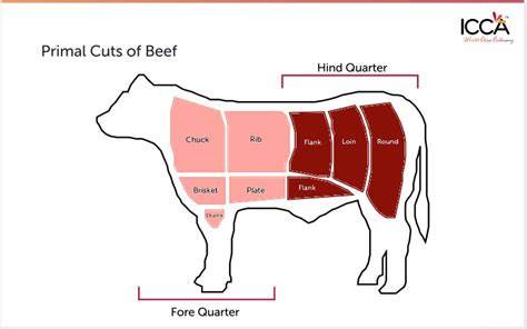cuts  beef  chef