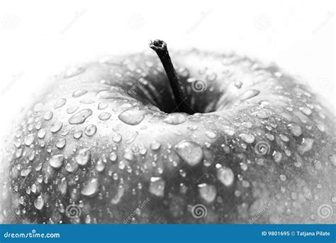 silwer apple stock image image  nutritious organic