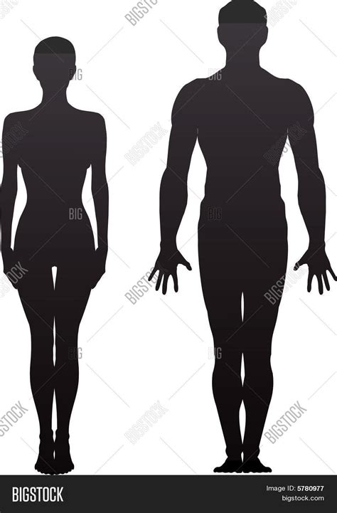 Man Woman Silhouette Vector And Photo Free Trial Bigstock
