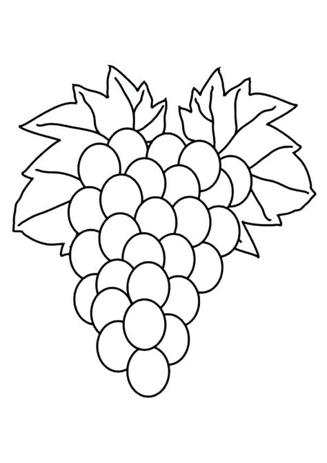 grapes coloring page  getcoloringscom  printable colorings