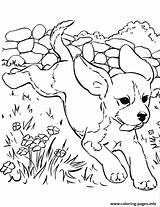 Coloring Dog Pages Cute Fb8a Running Printable Print Color sketch template