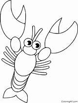Crawfish Lobster Coloringall Worksheets sketch template