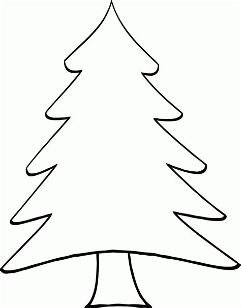evergreen coloring page coloring home