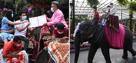 59 couples got married in thailand on valentine s day