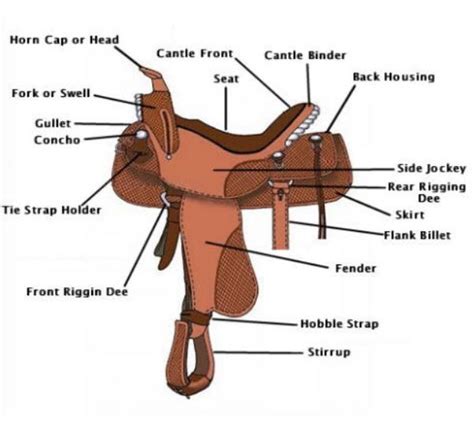 parts   horse saddle