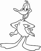 Duck Daffy Coloring Looney Pages Colouring Drawing Clipart Toons Cartoon Tunes Drawings Characters Color Sheet Duckling Print Hunting Kids Cartoons sketch template