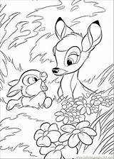 Coloring Pages Thumper Popular sketch template