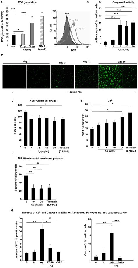 Aß Stimulation Of Platelets Induces Ros Generation And Cell Membrane