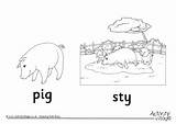 Pig Sty Pigs sketch template