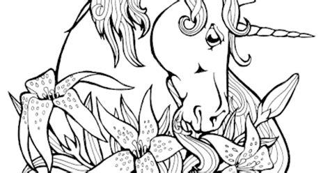 coloring pages  unicorn  coloring page