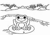 Coloring Amphibian Mitraland Preschool sketch template