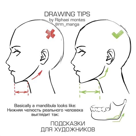 Face Drawing Reference At Explore